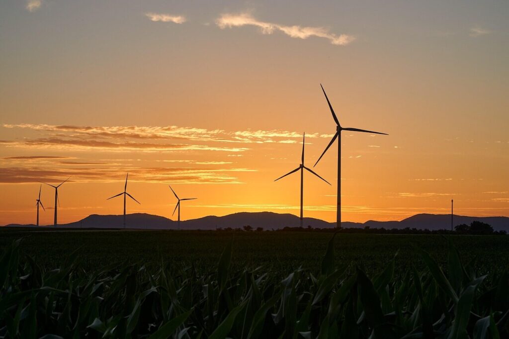 pinwheels, energy, electricity, renewable, wind energy, sunset, nature, wind farm, dusk, trees, landscape